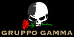 Gruppo Gamma
