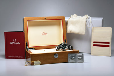 Omega Seamaster Aqua Terra 231.10.39.60.06.001 (Pre-owned)