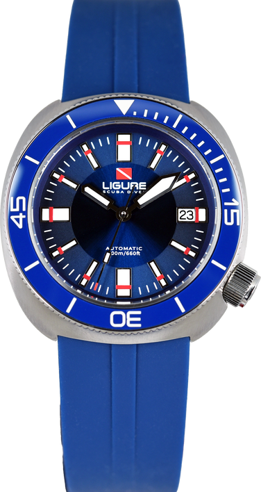 Ligure Tartaruga LWT21009 (Pre-owned)