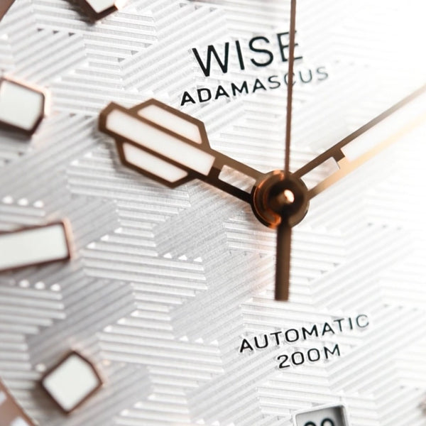 Wise Adamascus AD820B.C Bronze Limited Edition (Pre-owned)