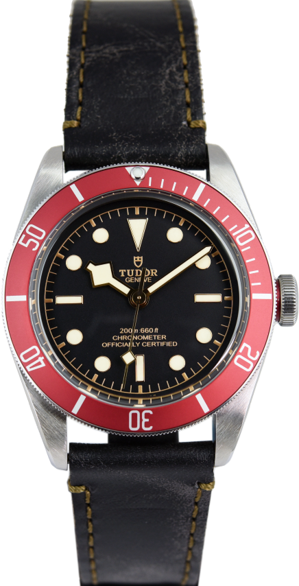 Tudor Black Bay M79230R-0011 (Pre-owned)