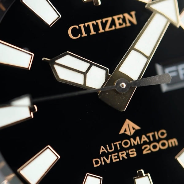 Citizen Promaster Fugu NY0160-66E Limited Edition (Pre-owned)