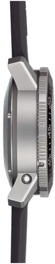 Sinn 613 St Strap 613.0121
