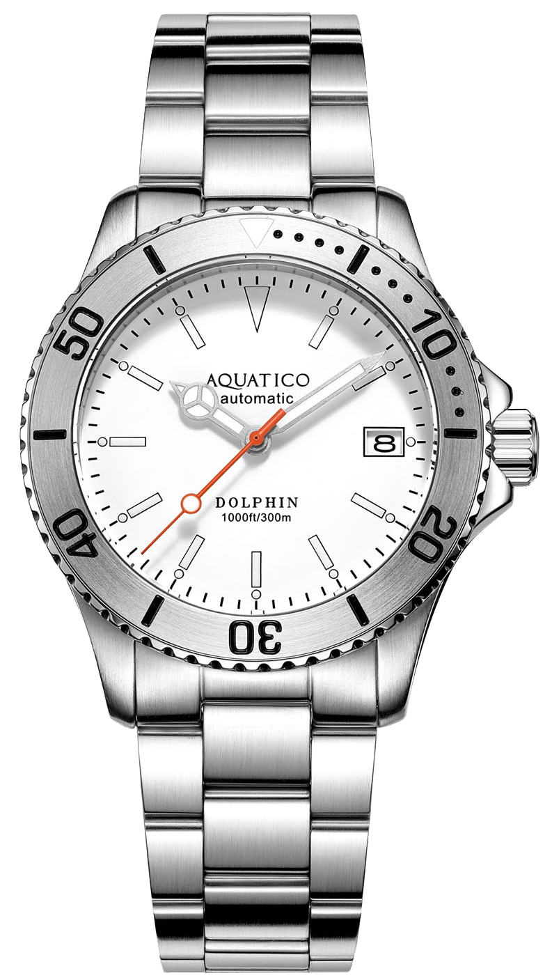 Aquatico Dolphin 39mm Automatic Dive Watch White