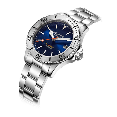 Aquatico Dolphin 39mm Automatic Dive Watch Blue